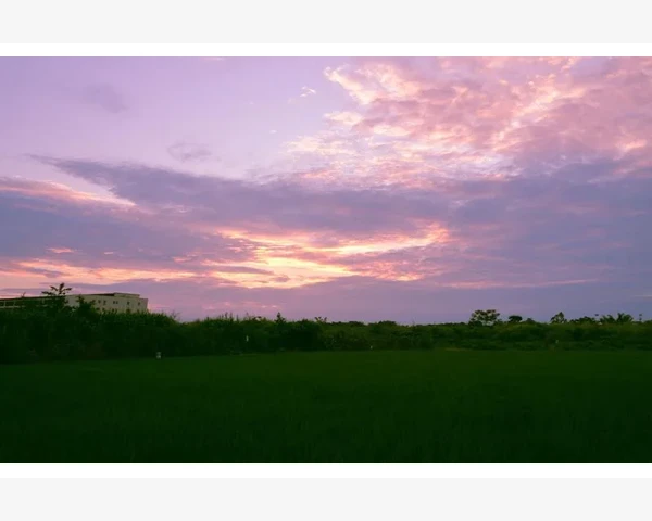 炒山楂与陈皮搭配化痰：传统中医智慧传承，清肺开窍，舒缓呼吸不适